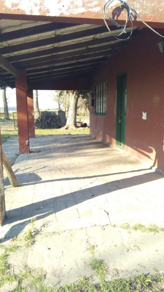CAMPO EN LIMA, ZARATE 83 HECTAREAS, C/ PEQUEÑA CASA