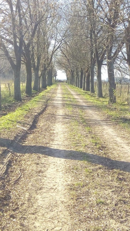 VENTA-CAMPO EN LIMA, ZARATE 83 HECTAREAS