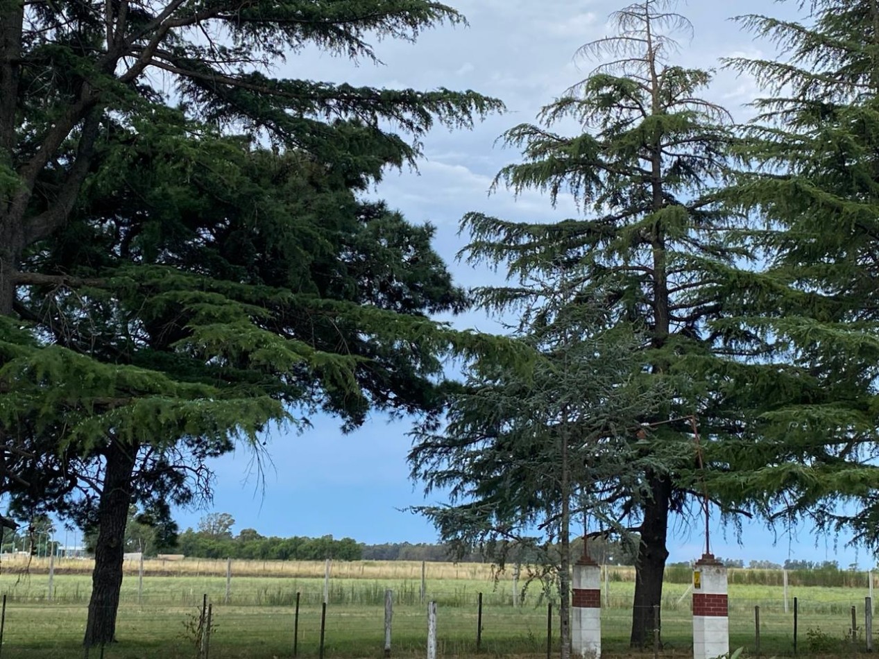 VENTA CASA-QUINTA 1 Hectarea y media en Bolivar