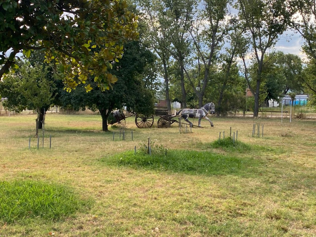 VENTA CASA-QUINTA 1 Hectarea y media en Bolivar