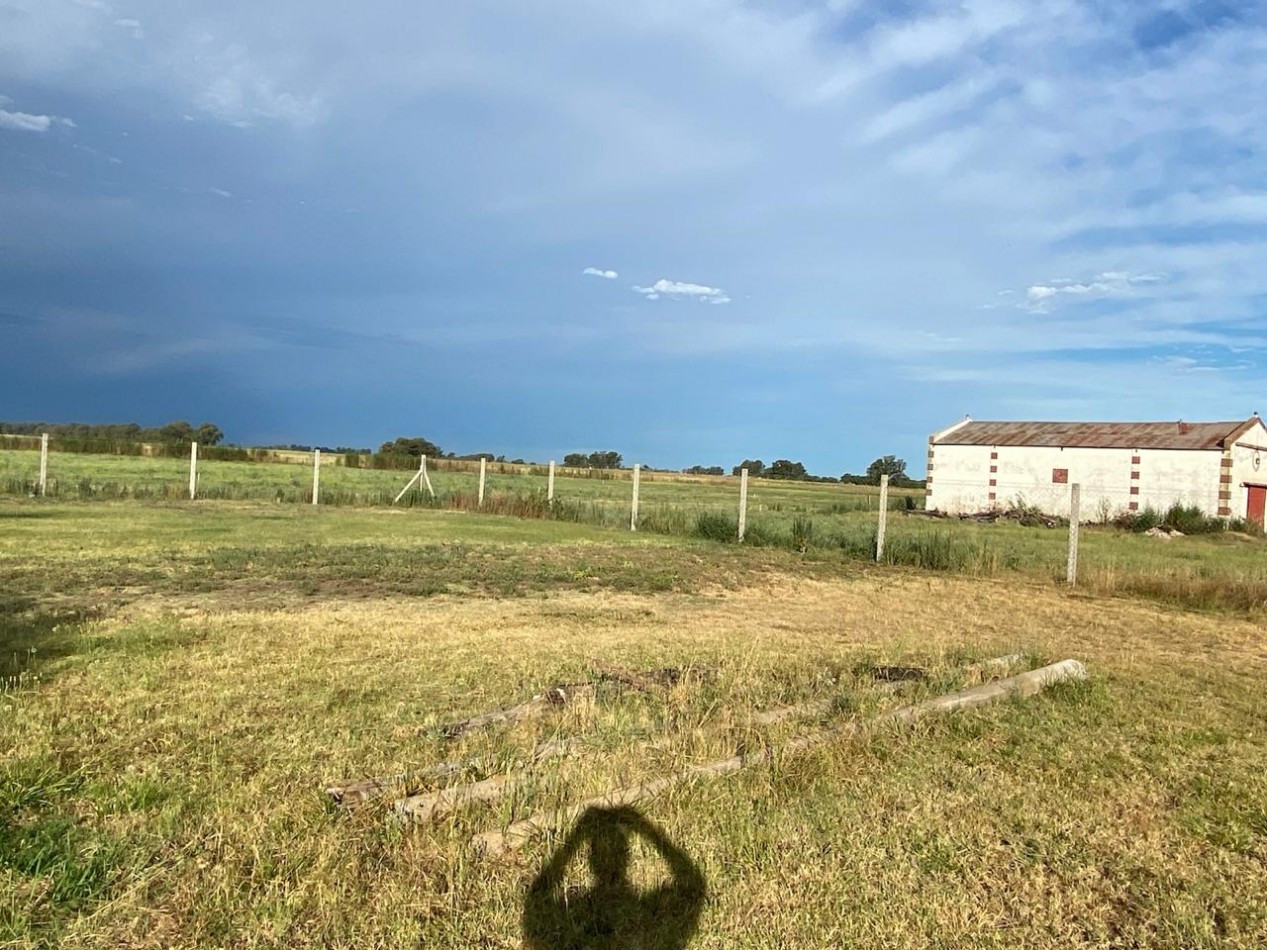 VENTA CASA-QUINTA 1 Hectarea y media en Bolivar