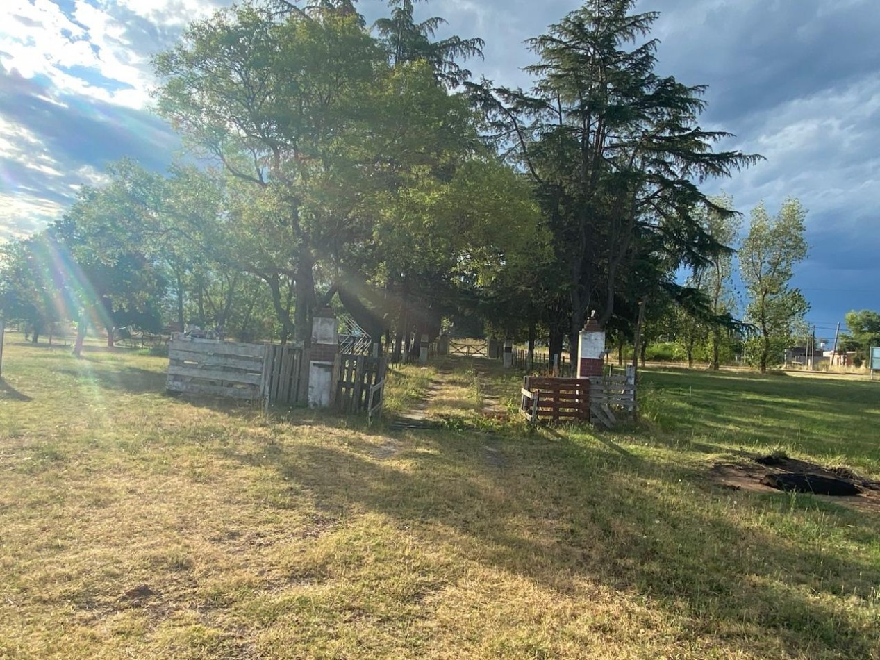VENTA CASA-QUINTA 1 Hectarea y media en Bolivar