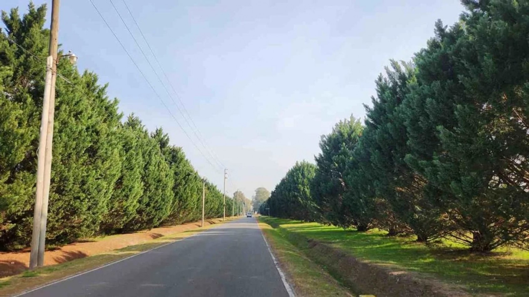 VENTA LOTE - CLUB DE CAMPO EL NACIONAL