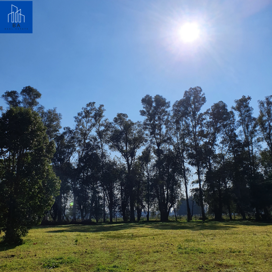 CAMPO EN LIMA, ZARATE 83 HECTAREAS, C/ PEQUEÑA CASA
