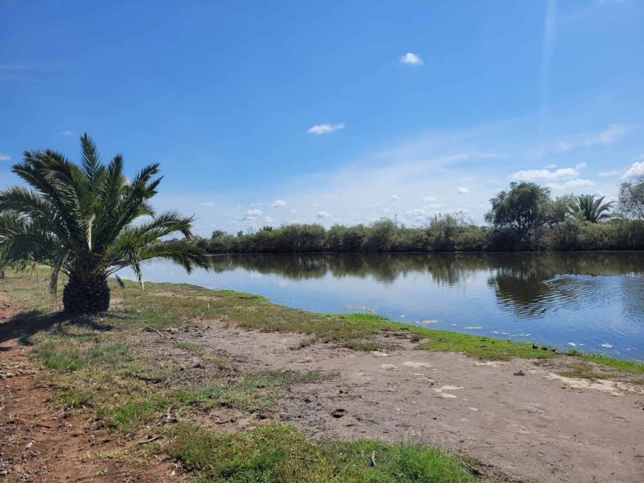VENTA - Lote c/ vista a la laguna en Ingeniero Maschwitz