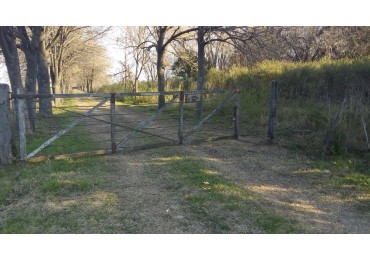 VENTA-CAMPO EN LIMA, ZARATE 83 HECTAREAS