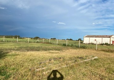 VENTA CASA-QUINTA 1 Hectarea y media en Bolivar